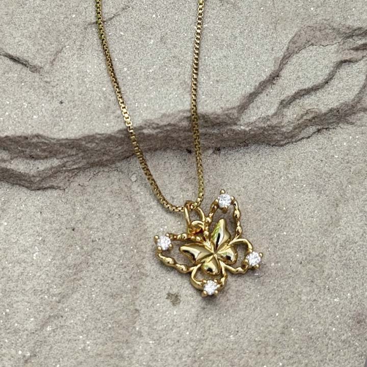 Cadena Mariposa del bosque