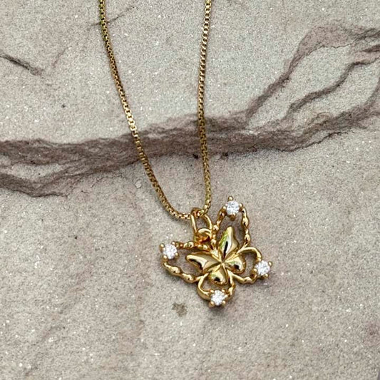 Cadena Mariposa del bosque