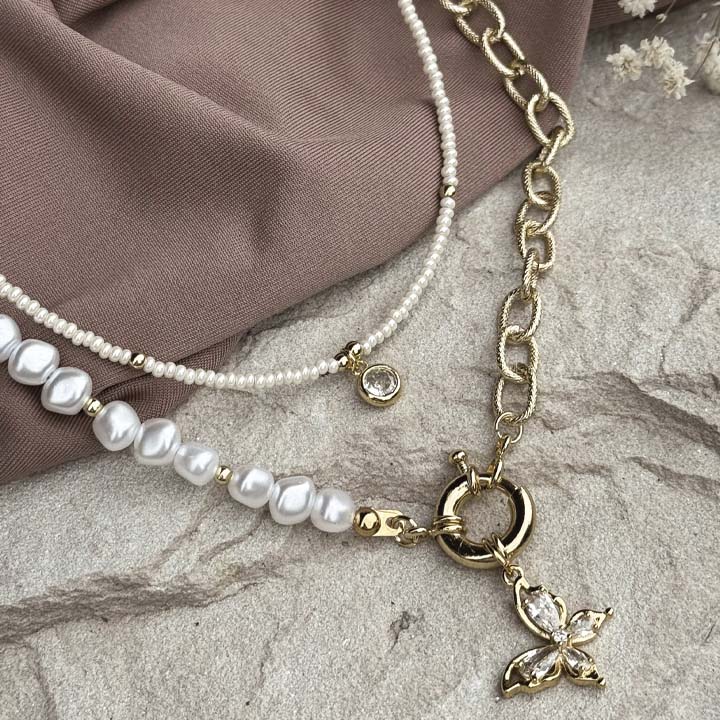 Cadena Mariposa del bosque